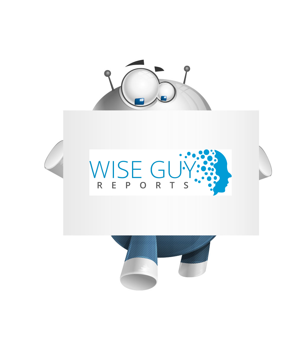 WiseGuyReports Logo