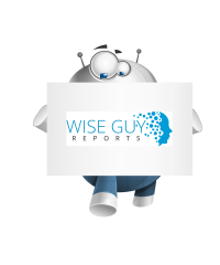 WiseGuyReports Logo