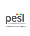 Company Logo For Polaris Enterprise Solution Limited'