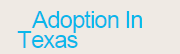 AdoptionInTexas.net'