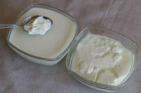 Yeast Infection Treatment'