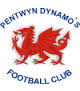 Pentwyn Dynamos Football Club'