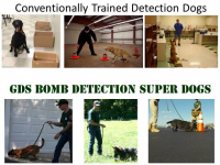 Bomb Detection Super Dogs