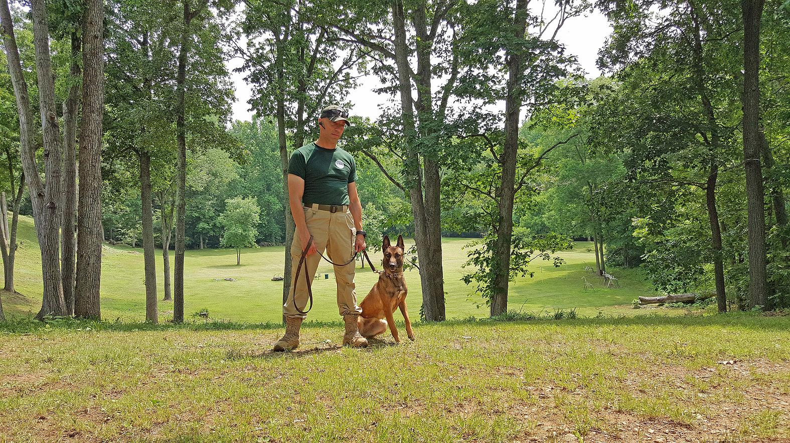 Bomb Detection Super Dogs