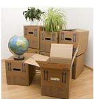 Elephant Removals Ltd'