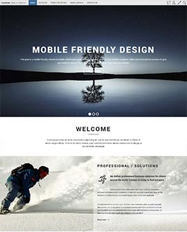 mobile friendly template