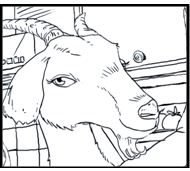 Sir William of Yorkshire'