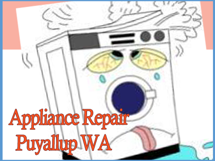 Company Logo For Appliance Repair Puyallup'