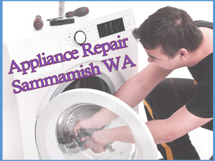 Company Logo For Appliance Repair Sammamish'