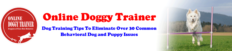 best german shepherd puppy training
