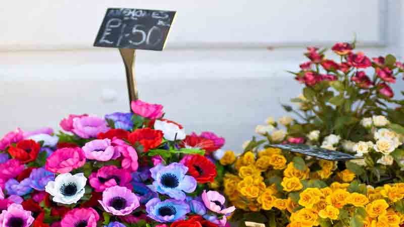 best hotels in lake district