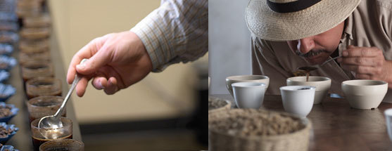 The Five Star Coffee Factory