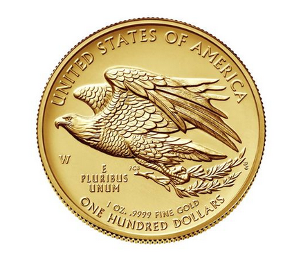 American Liberty 2015 Back'