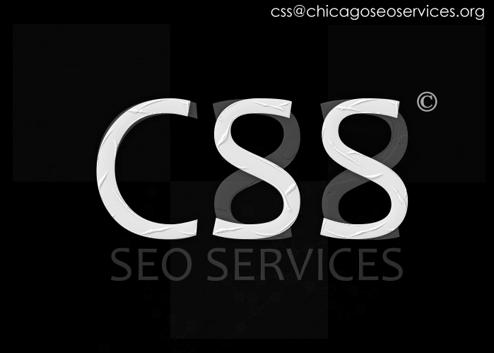 Chicago SEO Company'
