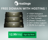 hosting with free domain'