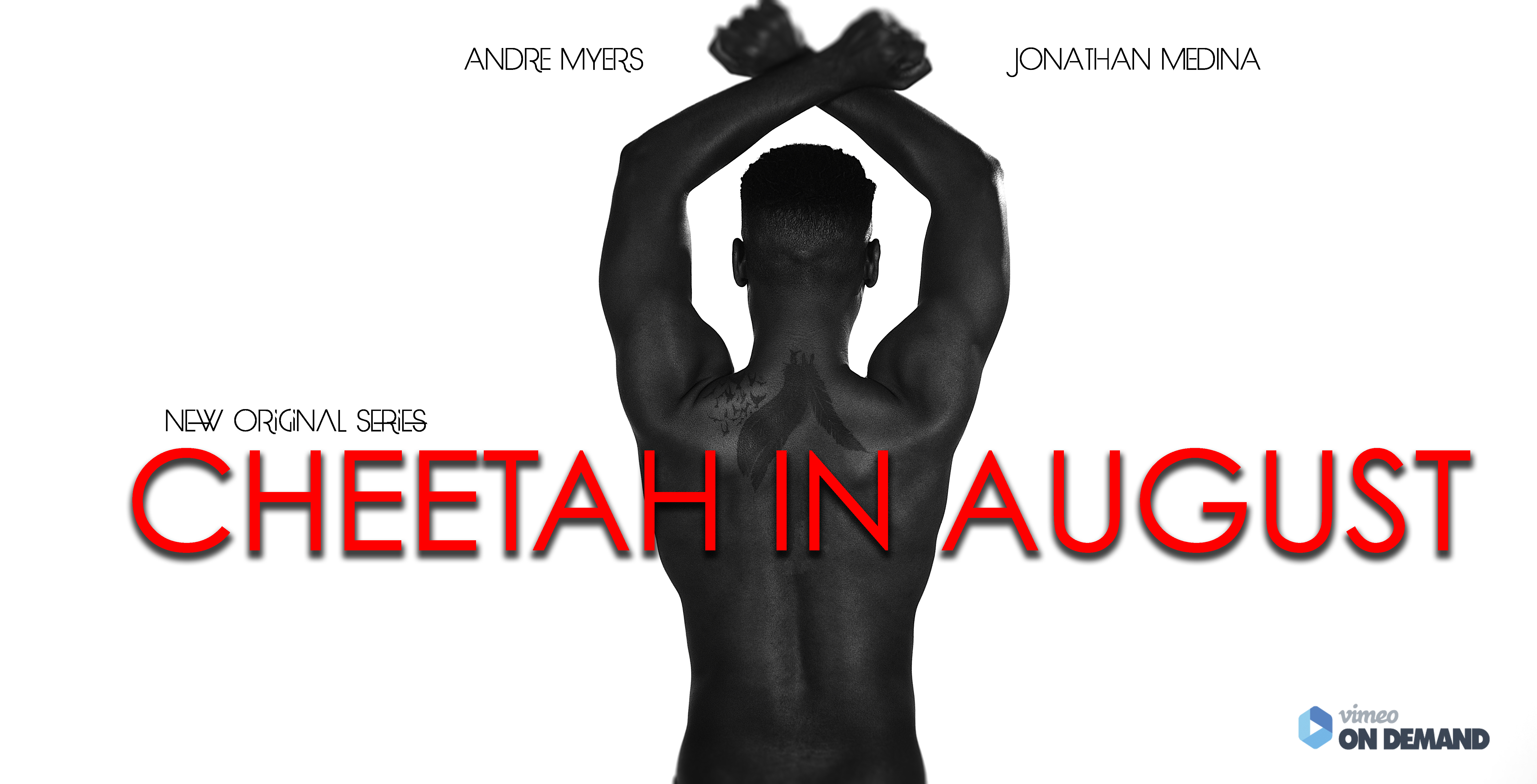 Cheetah In August - Promo Picture'