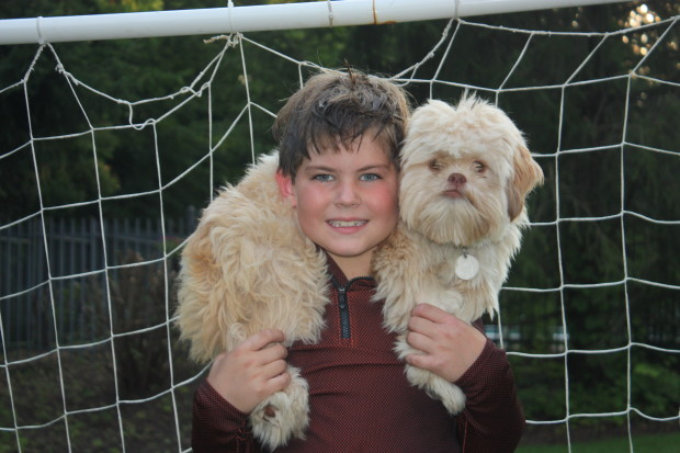 GoDoggie