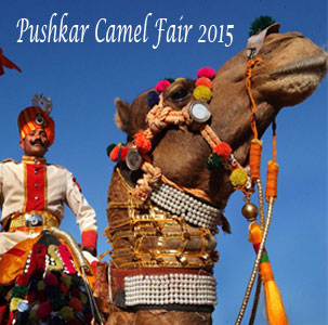 Pushkar Camel Fair 2015'