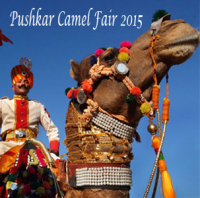 Pushkar Camel Fair 2015