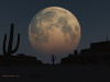 Tour the Arizona Desert Under a Full Moon'