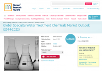 Global Specialty Water Treatment Chemicals Market Outlook