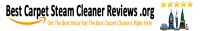 Best Carpet Steam Cleaner Reviews.Org Logo