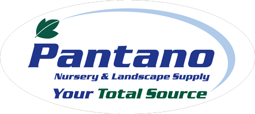 Pantano Nursery'