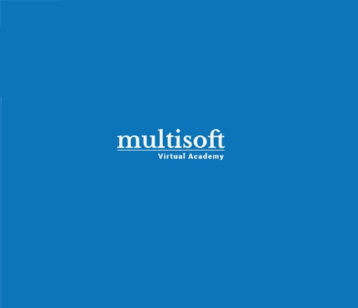 Company Logo For Multisoft Virtual Academy'