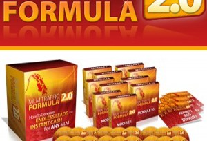 MLM Traffic Formula 2 Review'
