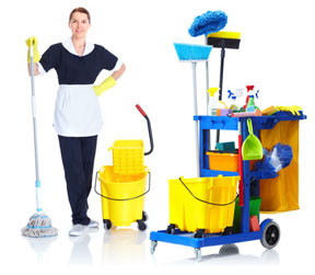 Company Logo For Carpet Cleaning Services'