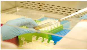 Human Tissue Bank