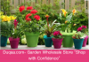 Decorative Flower Pots and Planters'