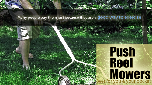 Brill Razorcut 38 Push Reel Lawn Mower'