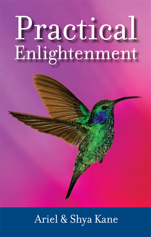 Practical Enlightenment
