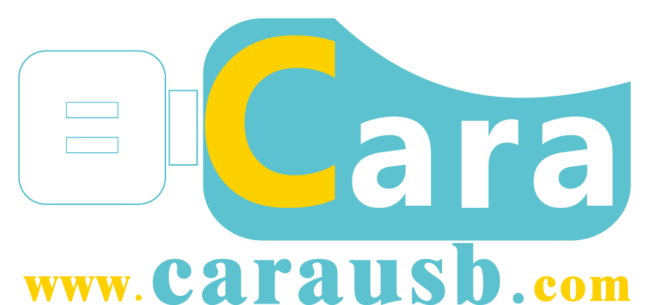 Company Logo For Cara Technology Limited'
