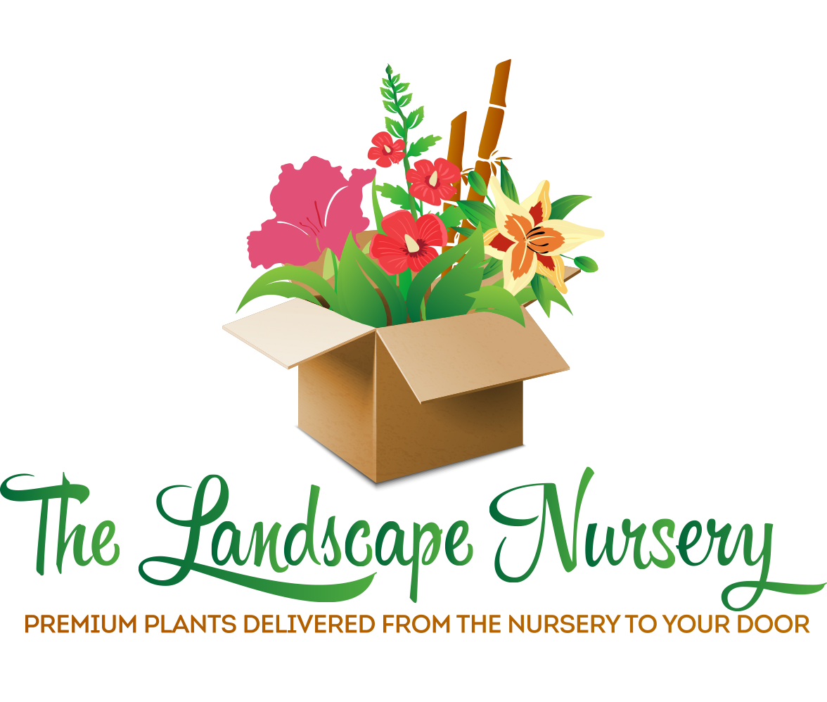 Company Logo For The Landscape Nursery'