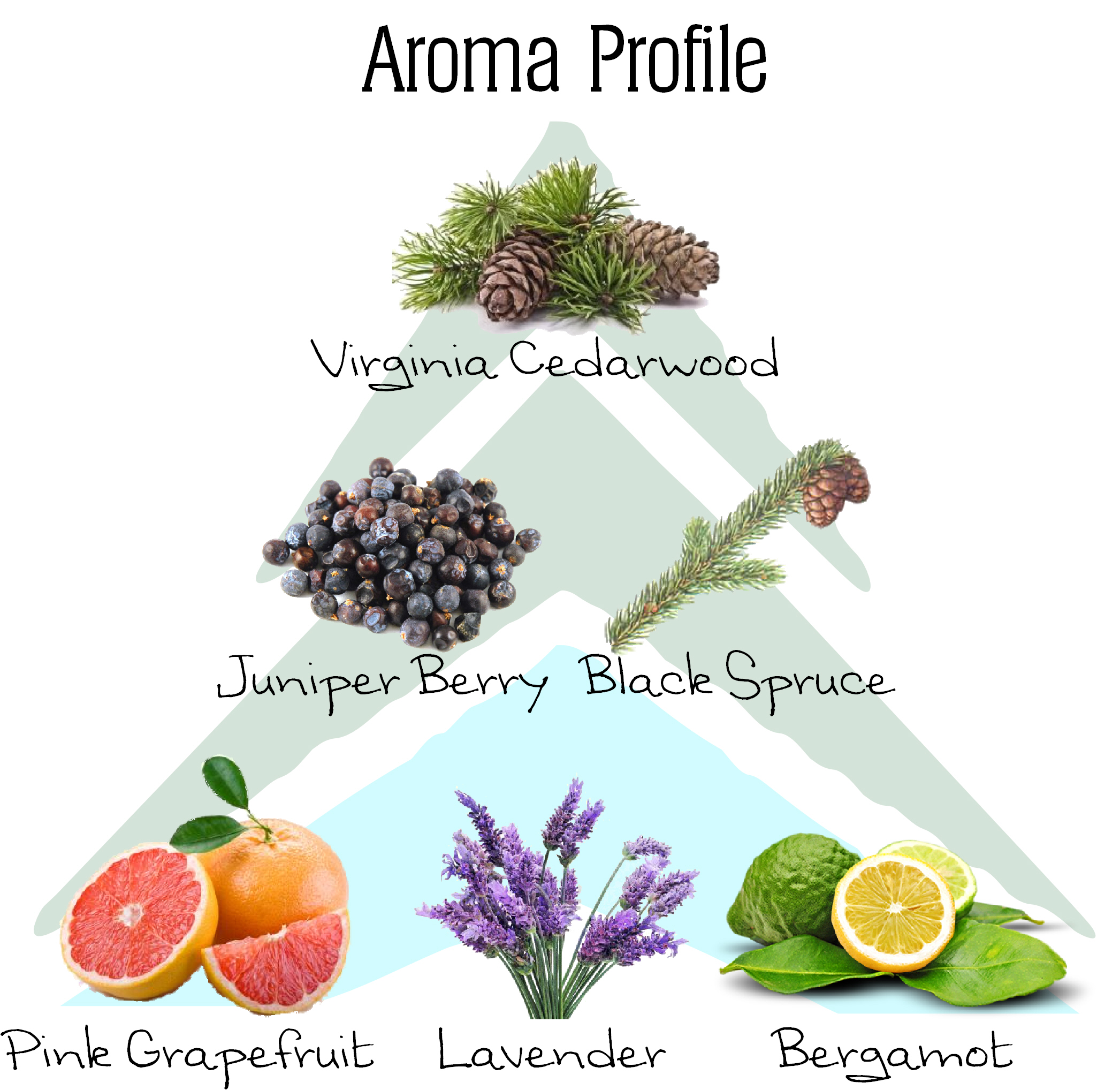 Timber Glacier by Jarvis Taylor  Aroma Profile'