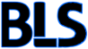 Byte Logic Systems Logo
