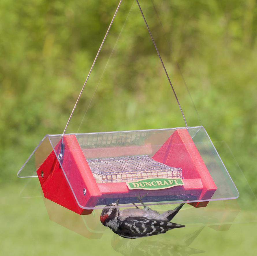 Upside Down Suet Shield Feeder