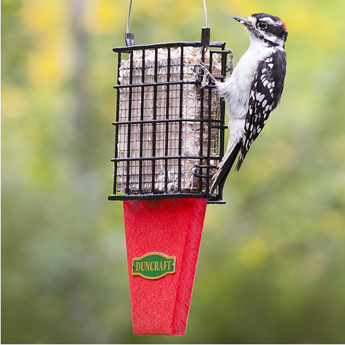 Tail Prop Suet Shield Feeder