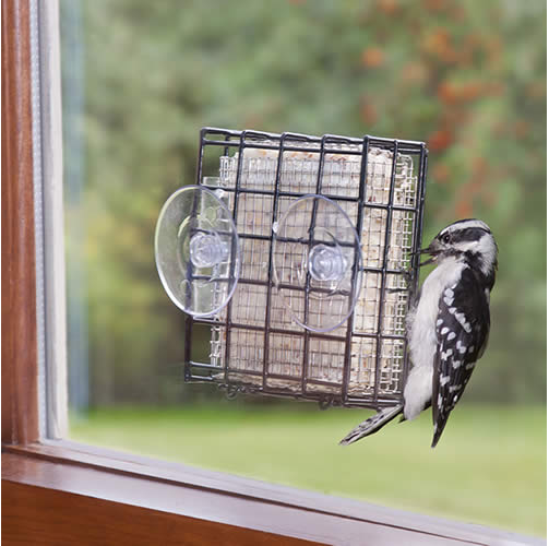 Window Suet Shield Blocker Feeder'