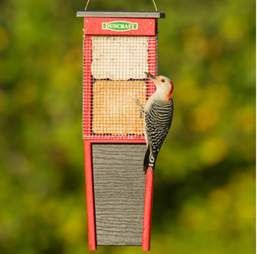 Woodpecker Suet Shield Wrap Feeder'