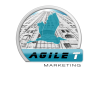 Company Logo For Agile T Marketing'