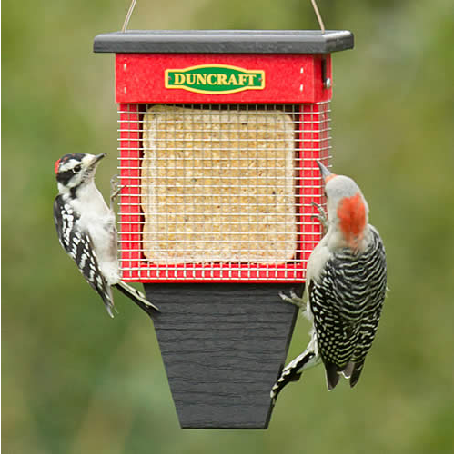Three Woodpecker Suet Wrap Feeder'