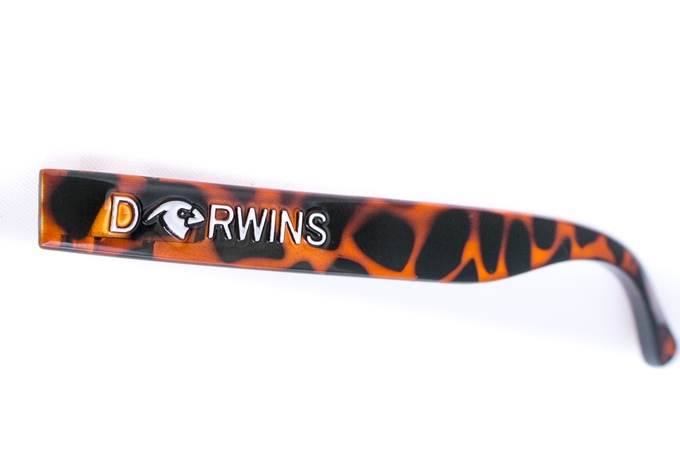 Darwins: Arm Options