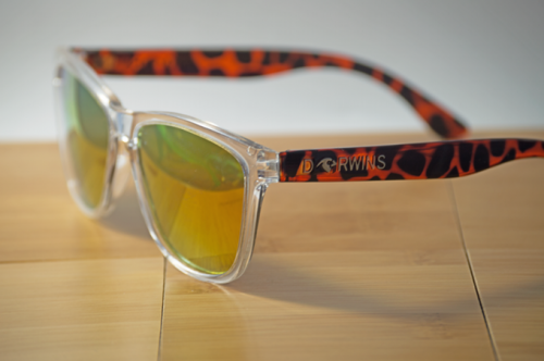 Darwins: Interchangeable Polarized Sunglasses'