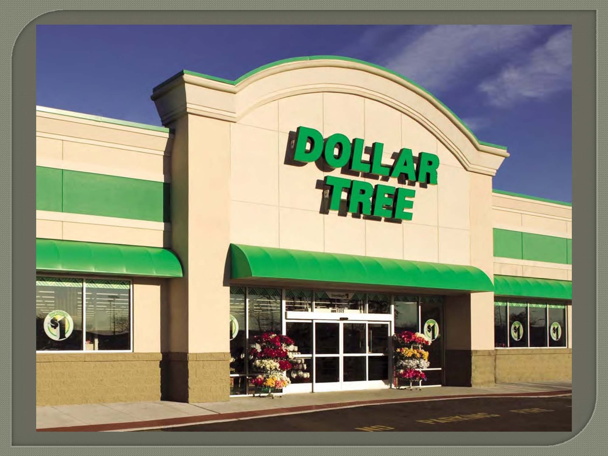 Dollar Tree Store