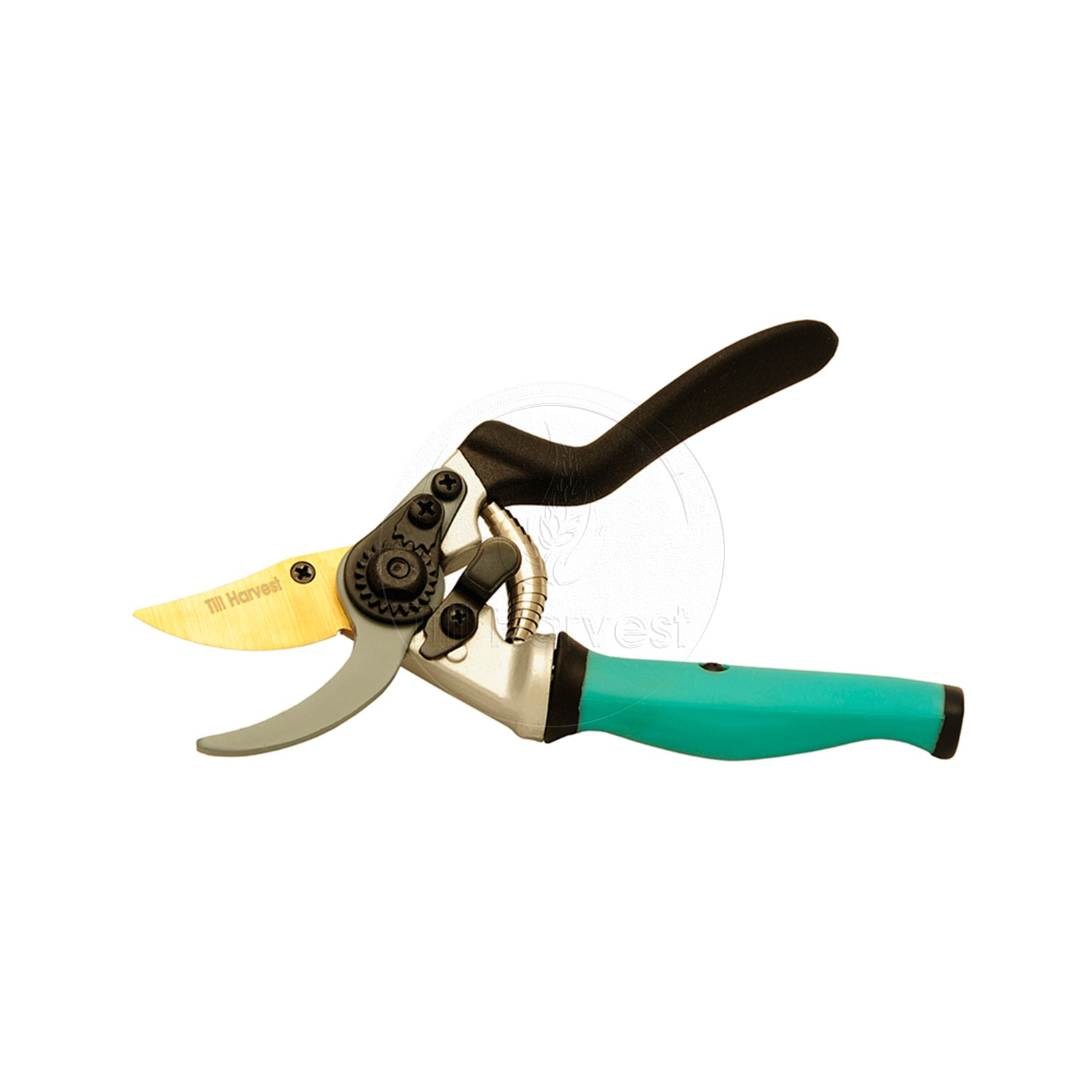 Till Harvest Launches its Latest Pruner &ndash; The Gent'