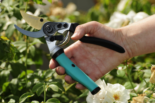 Till Harvest Launches its Latest Pruner &amp;ndash; The Gent'