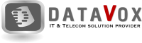 Datavox L.L.C
